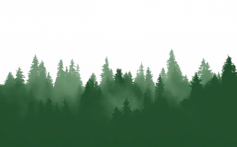 Forest treeline silhouette